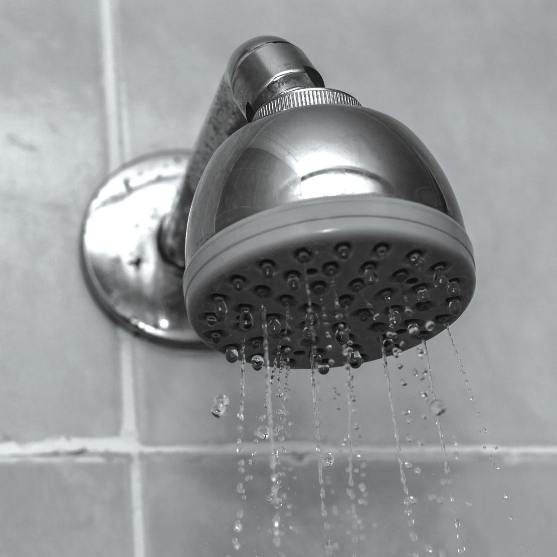 Shower Shower
